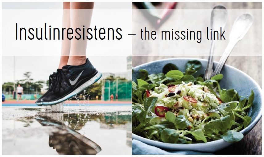 Insulinresistens – the missing link