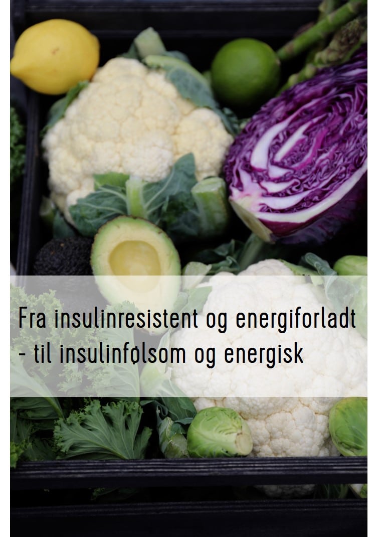Fra insulinresistent til insulinfølsom. Ja, du kan også!