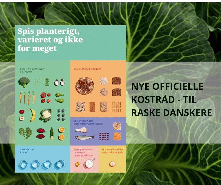 Nye officielle kostråd til raske – for sundhed og klima