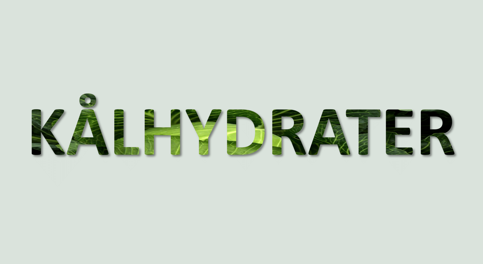 Kålhydrater
